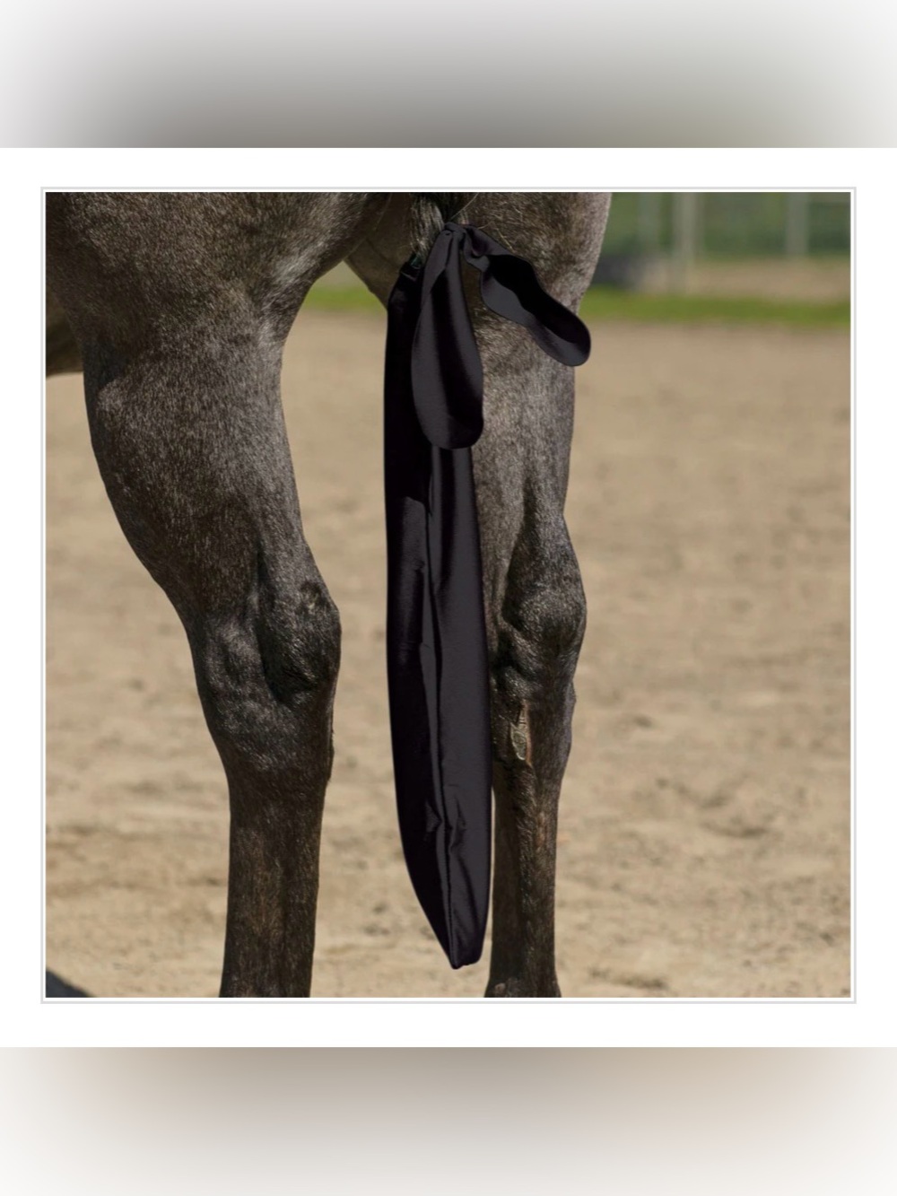 Ultra Flex Lycra Horse Tail Bag from Schneider’s Tack